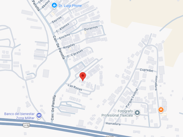 place photo 13