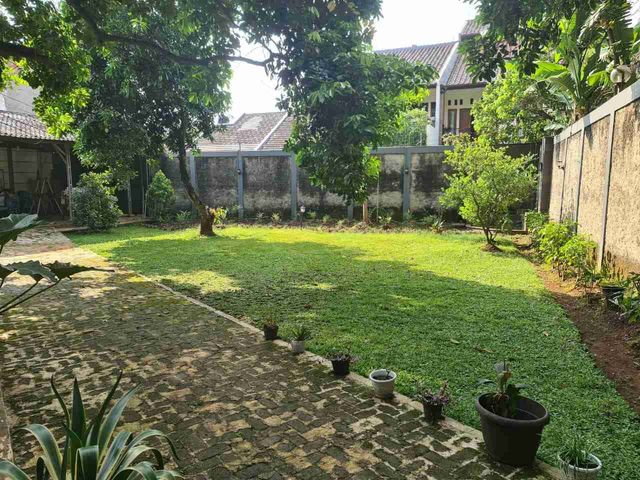 place photo 20