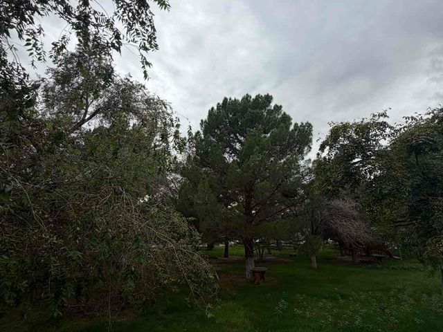 place photo 25