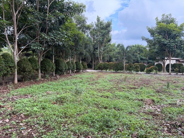 place photo 36