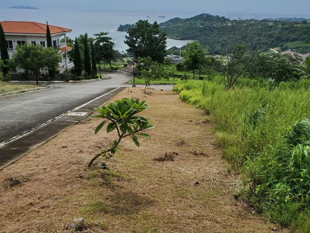 Punta Fuego 740 sqm Prime Corner Lot for Sale | Unobstructed Ocean View