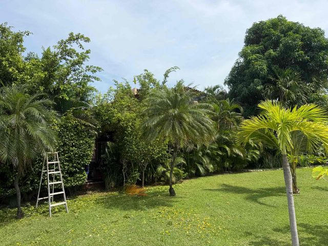 place photo 29