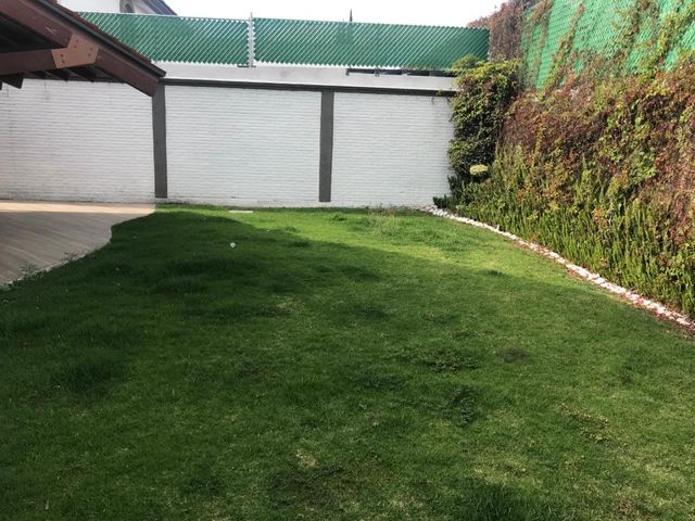 place photo 66