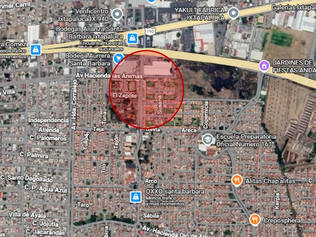 place photo 15