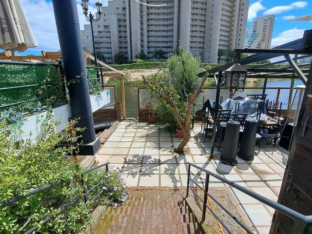 place photo 40