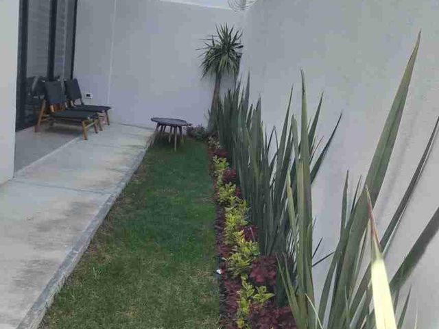 place photo 38