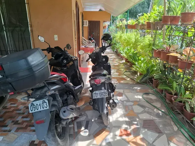 place photo 38