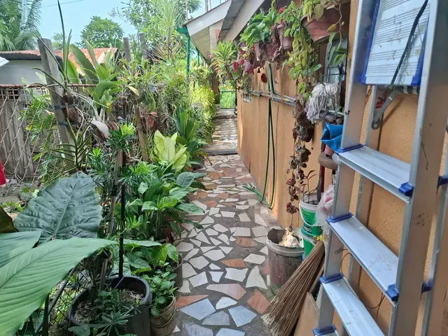 place photo 52