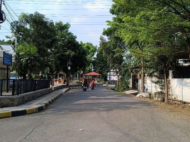 place photo 17