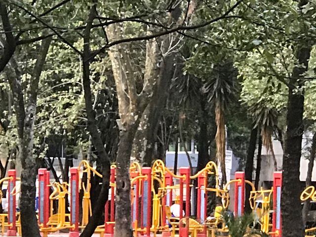 place photo 19