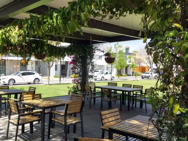 place photo 21