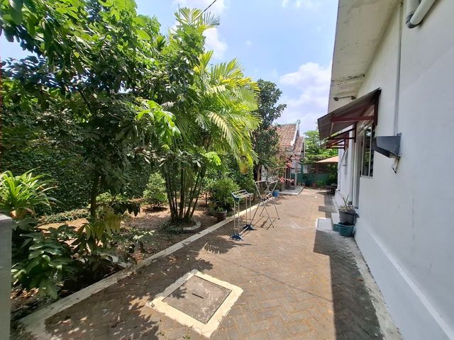 place photo 42
