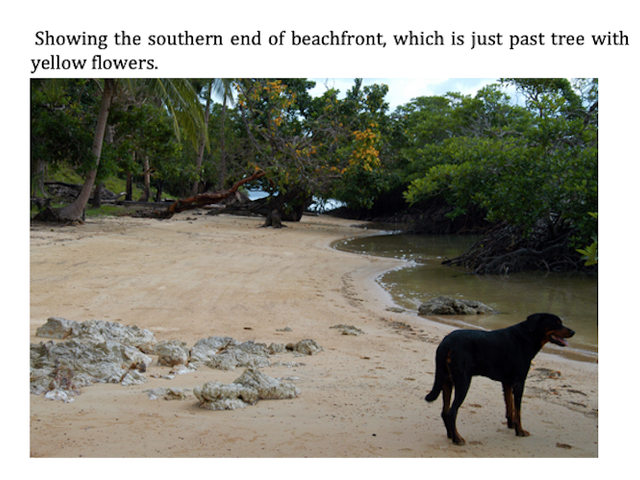 place photo 5
