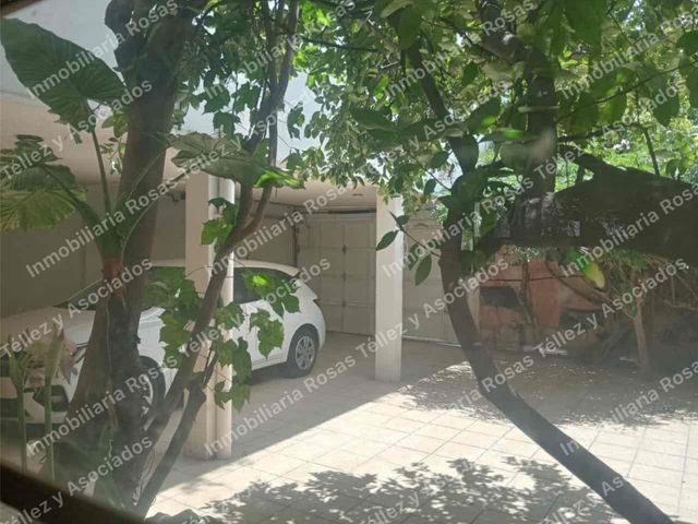 place photo 41