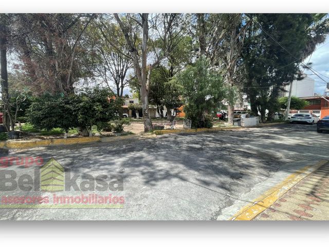 place photo 24