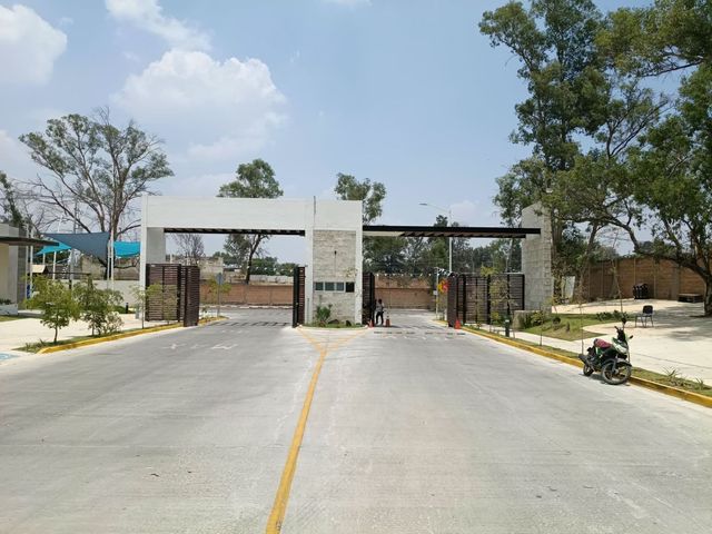 place photo 21