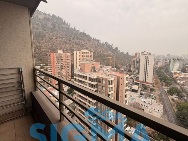 place photo 49