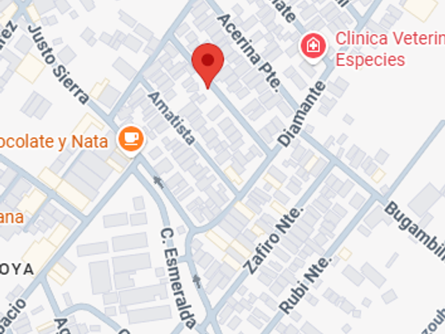 place photo 16