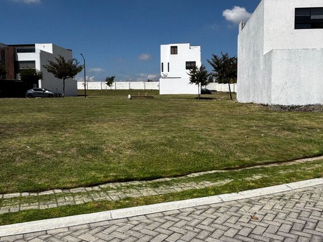 place photo 19