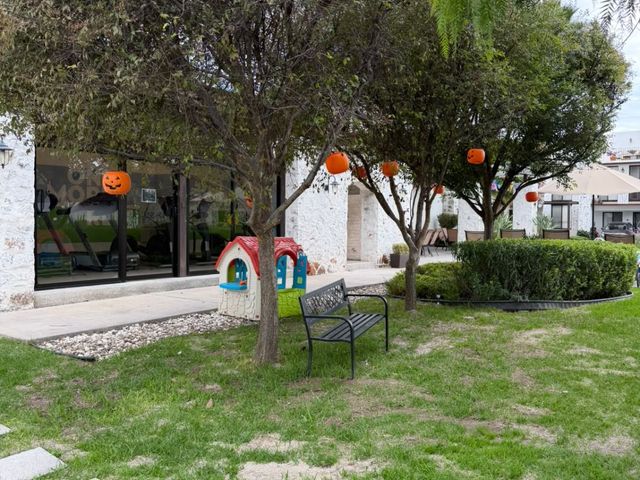 place photo 47