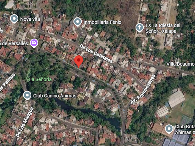 place photo 8