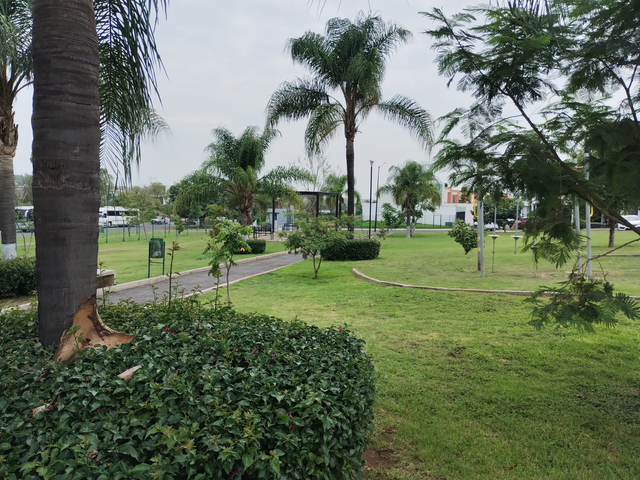 place photo 29