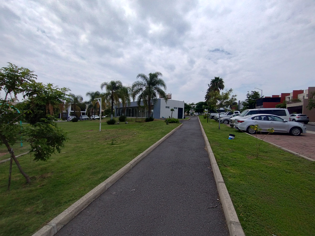 place photo 31