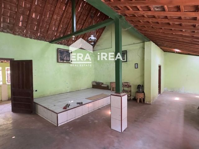 place photo 17