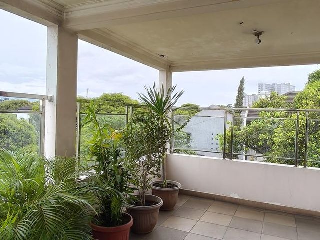 place photo 19