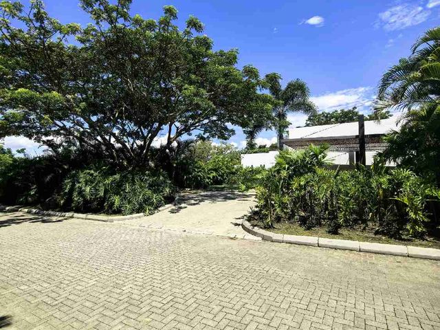 place photo 45