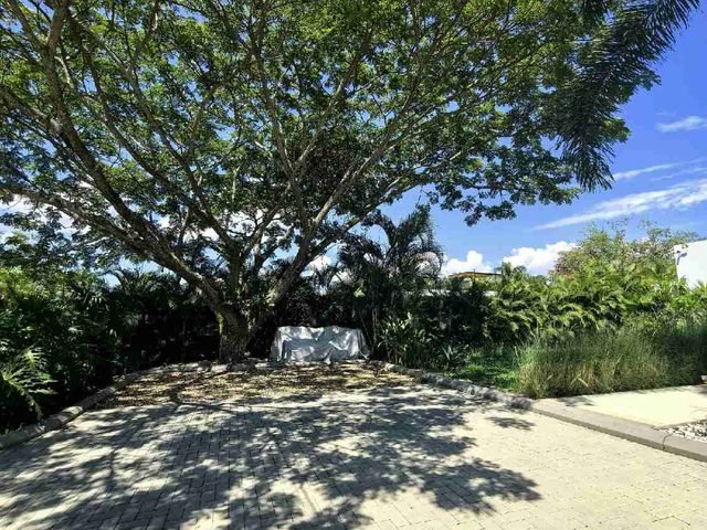 place photo 41