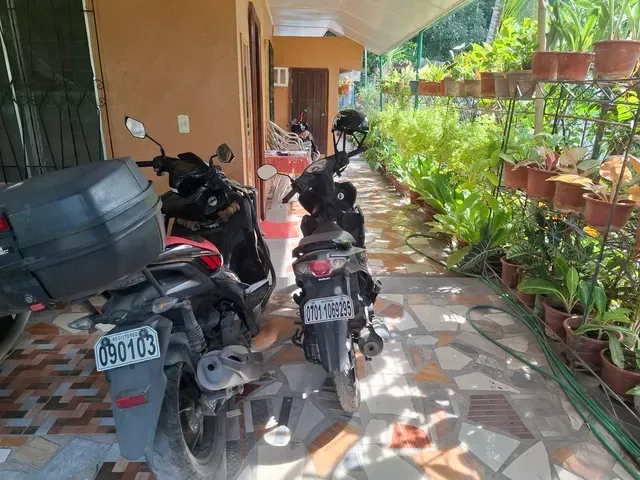 place photo 38