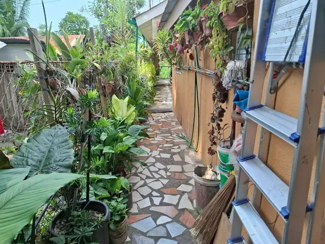 place photo 52