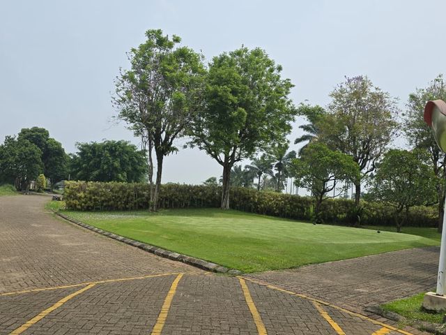 place photo 28