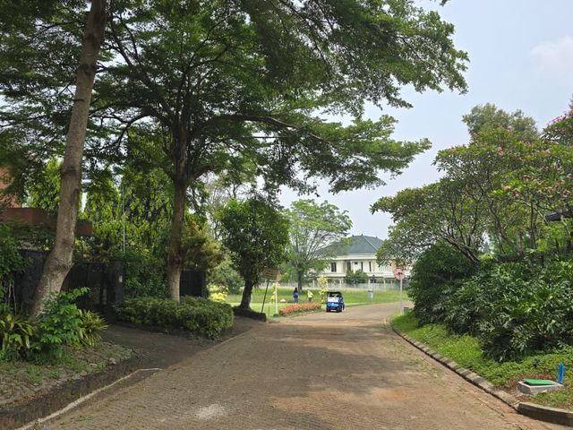 place photo 33