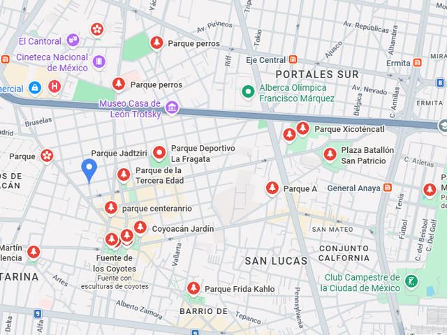 place photo 13
