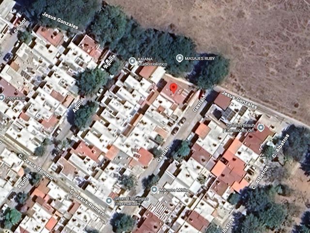 place photo 10