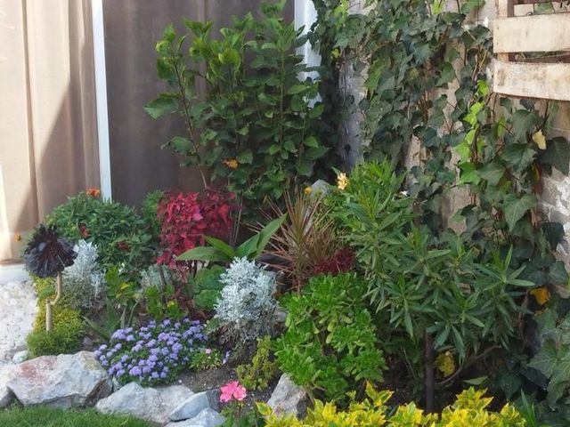 place photo 34