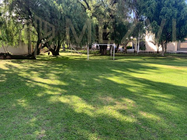 place photo 38