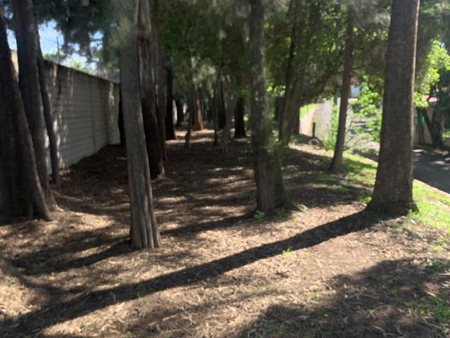 place photo 39