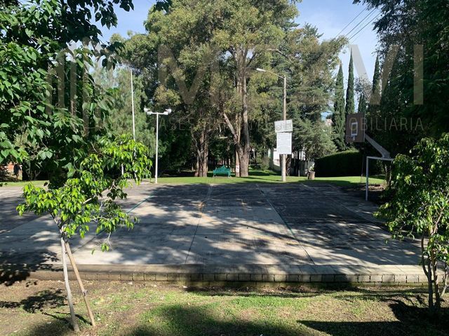 place photo 40