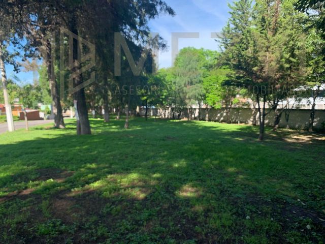 place photo 43