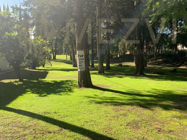 place photo 44