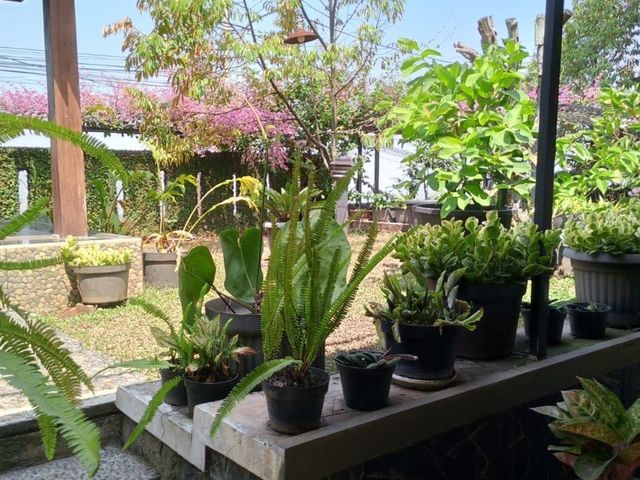 place photo 36