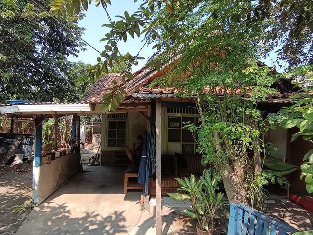place photo 3