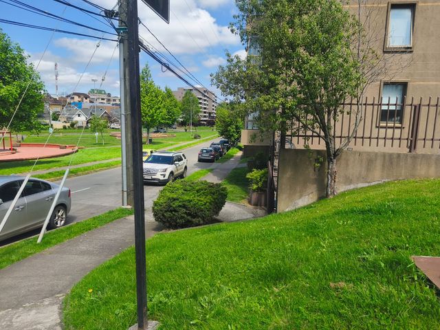 place photo 34