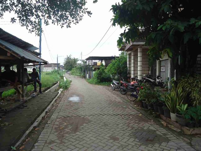 place photo 3