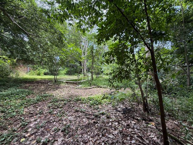 place photo 53