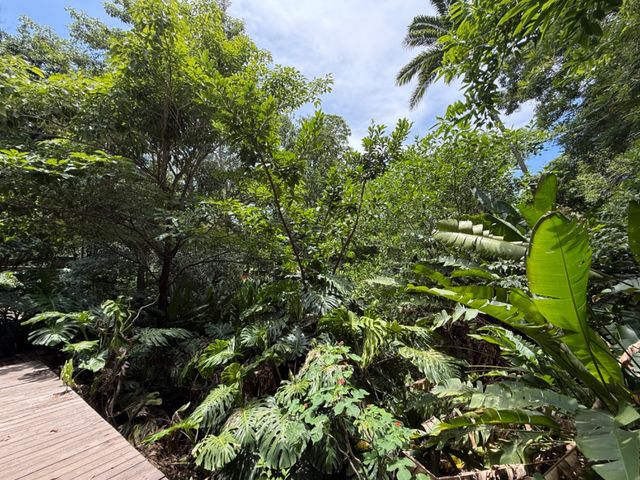 place photo 42