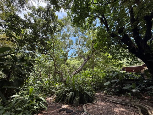 place photo 46